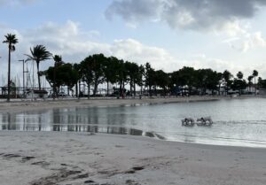 Port d'Alcúdia