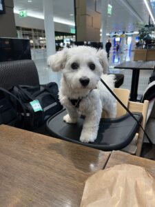 Flughafen München. Warten aufs Boarding.