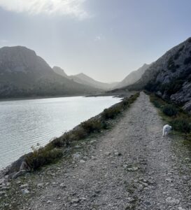 Wandern am Cúber-Stausee