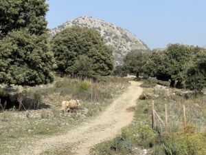 Wandern durch den Torrent de l'Ofre