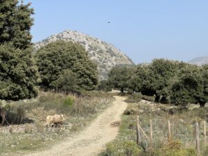 Wandern durch den Torrent de l'Ofre