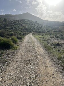 Wandern durch den Torrent de l'Ofre