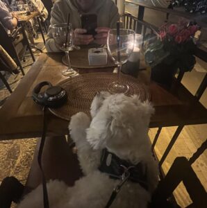 Abendessen in Port de Soller.